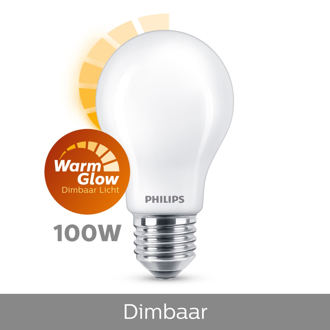 Betrokken Perforatie Veel 1x Philips LED Lamp mat dimbaar (10,5W (100W), E27, Warm Glow) - Ledlampen  - Lamp123.nl
