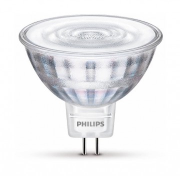 008718699776077standard photo