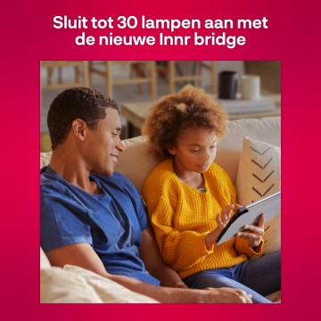 02 bg 220 bridge connect up to 30 lights