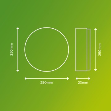 038719514417977product information