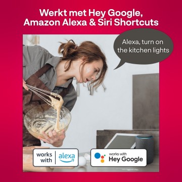 06 bg 220 bridge voice control