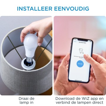 078719514552081product information