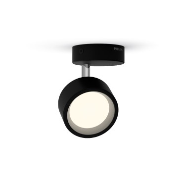 872016917482501standard photo