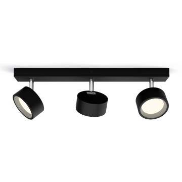 872016917486301standard photo