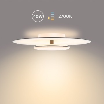 872016919527108additional photo