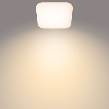 872016919545503product in use