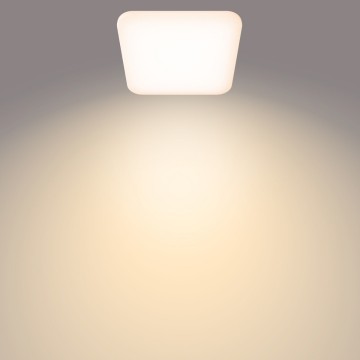 872016919549303product in use