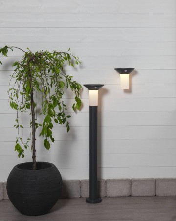 900243 900244ambient0001