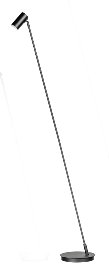 Bowie m 05 vl8234 30