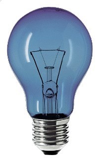 Daglicht gloeilamp wwwlamp123nl