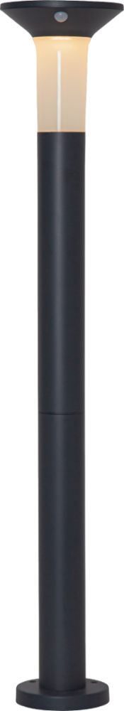 Eglo outdoor vloerlamp corbezzola 900244 wwwlamp123nl