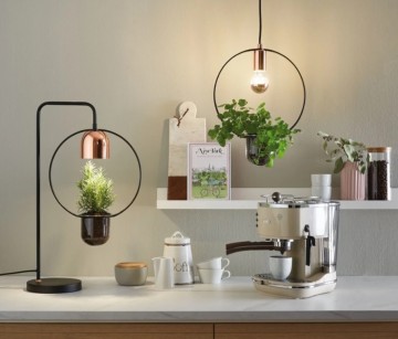 Hanglamp paulmann tasja 79748 wwwlamp123nl123