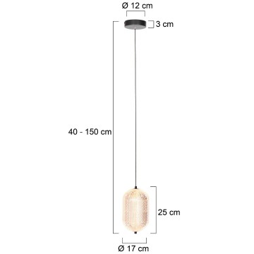 Hanglamp steinhauer geripu 3840zw wwwlamp123nl7