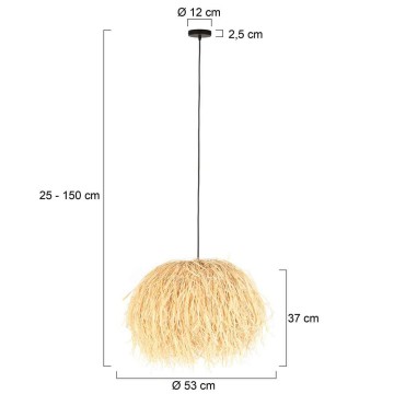 Hanglamp steinhauer grass 3819be wwwlamp123nl8