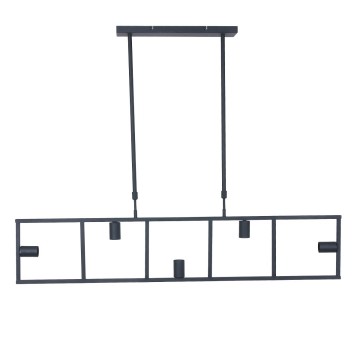 Hanglamp steinhauer racky 2981zw wwwlamp123nl2