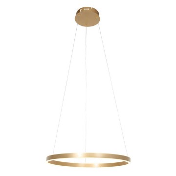 Hanglamp steinhauer ringlux 3502go wwwlamp123nl