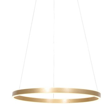 Hanglamp steinhauer ringlux 3502go wwwlamp123nl1