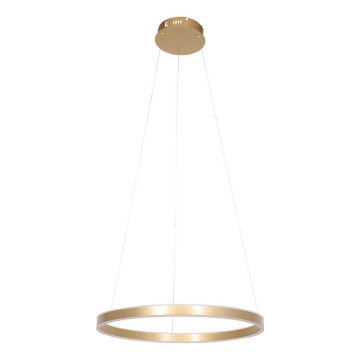 Hanglamp steinhauer ringlux 3502go wwwlamp123nl5