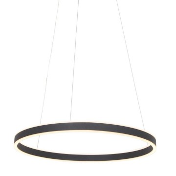 Hanglamp steinhauer ringlux 3502zw wwwlamp123nl1