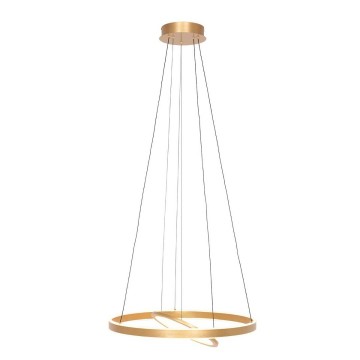 Hanglamp steinhauer ringlux 3514go wwwlamp123nl