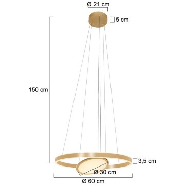 Hanglamp steinhauer ringlux 3514go wwwlamp123nl8