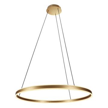 Hanglamp steinhauer ringlux 3675go wwwlamp123nl