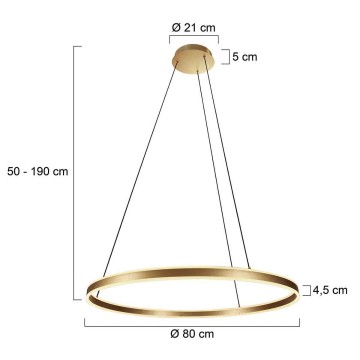 Hanglamp steinhauer ringlux 3675go wwwlamp123nl8