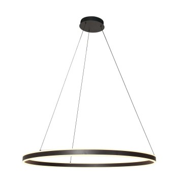 Hanglamp steinhauer ringlux 3676zw wwwlamp123nl2