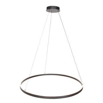 Hanglamp steinhauer ringlux 3676zw wwwlamp123nl3