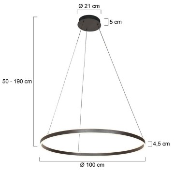 Hanglamp steinhauer ringlux 3676zw wwwlamp123nl7