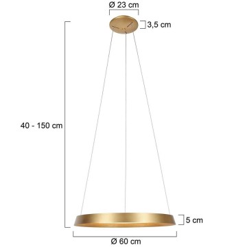 Hanglamp steinhauer ringlux 3692go wwwlamp123nl9