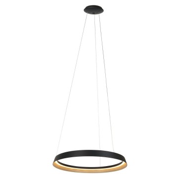 Hanglamp steinhauer ringlux 3692zw wwwlamp123nl1