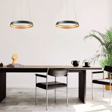 Hanglamp steinhauer ringlux 3692zw wwwlamp123nl6