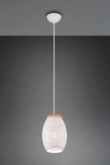 Hanglamp trio bidar r31571031 wwwlamp123nl2