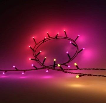 Hue festavia 250 leds wwwlamp123nl1