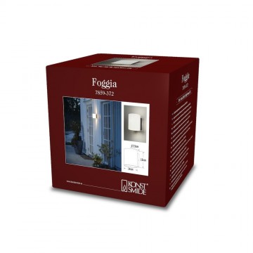 Konstsmidefoggia7859 372lamp123nl4