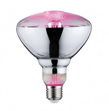 Ledlamp paulmann grow green 28737 wwwlamp123nl