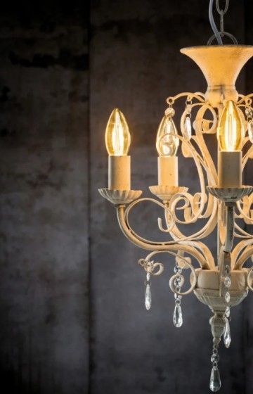 Ledlamp paulmann vintage 28704 wwwlamp123nl12