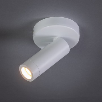 Miller 05 sp1360 31 witte ring aan