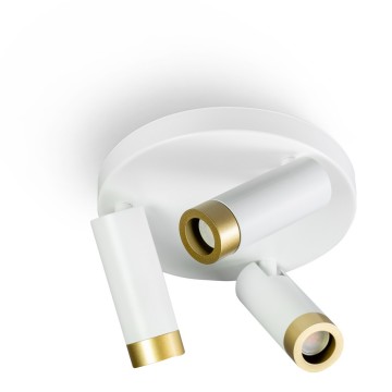 Miller 05 sp1362 31 gouden ring