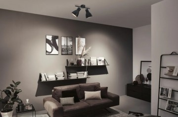 Opbouwspot paulmann davy 66760 wwwlamp123nl123