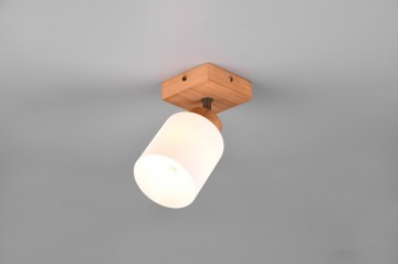 Opbouwspot trio assam r81111030 wwwlamp123nl1