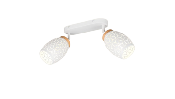 Opbouwspot trio bidar r81572031 wwwlamp123nl 2