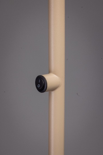 Pisa 05 vl8202 59 detail 1