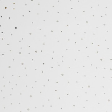 Plafondlamp brilliant fakir g9697075 wwwlamp123nl5