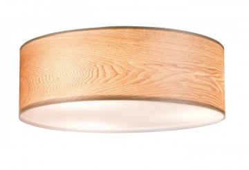 Plafondlamp paulmann liska 79650 wwwlamp123nl