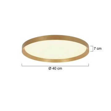 Plafondlamp steinhauer flady 3685go wwwlamp123nl6
