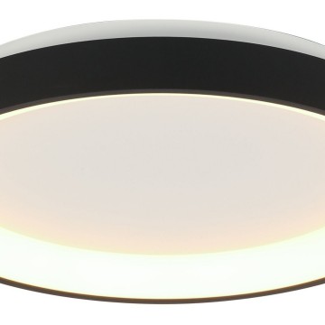 Plafondlamp steinhauer ringlede 3690go wwwlamp123nl5 0