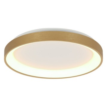Plafondlamp steinhauer ringlede 3691go wwwlamp123nl