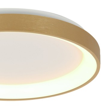 Plafondlamp steinhauer ringlede 3691go wwwlamp123nl5